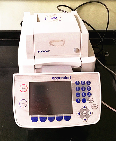 梯度PCR仪1_副本.jpg